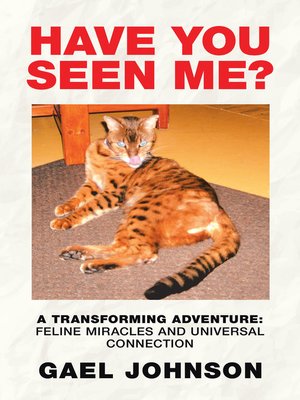 cover image of Have You Seen Me?